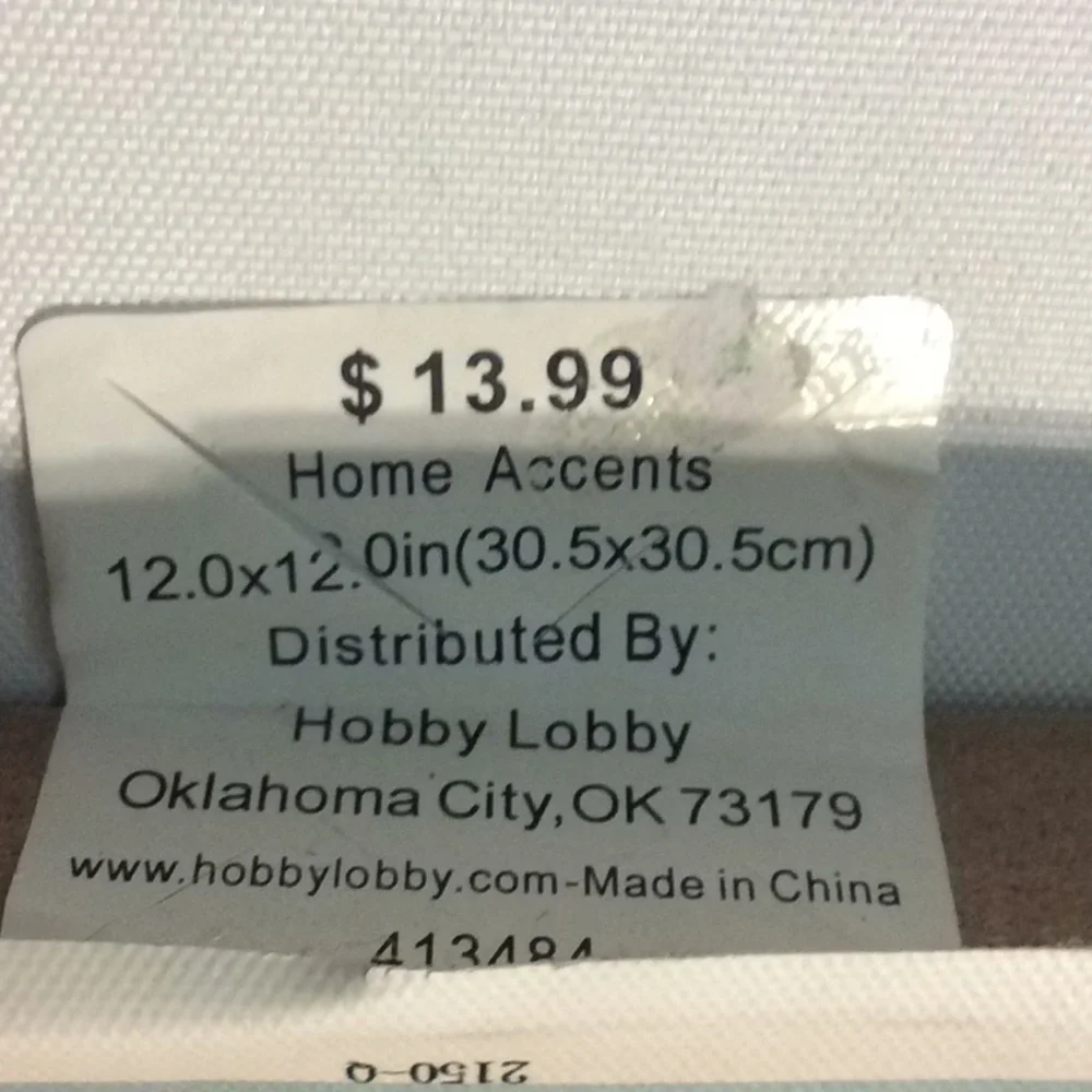 Hobby lobby wall decor “painting” NWT